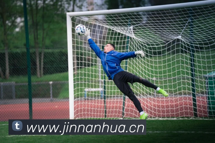 App Interface Preview