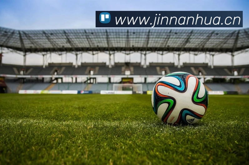 九游最新网站APP 封面图